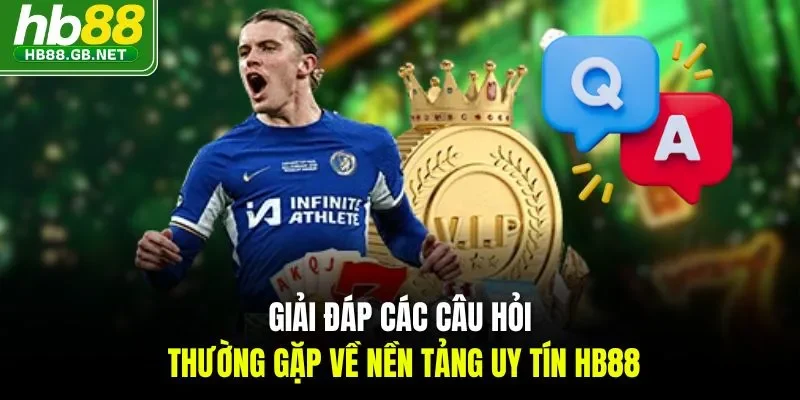 Giải đáp các câu hỏi thường gặp về nền tảng uy tín HB88